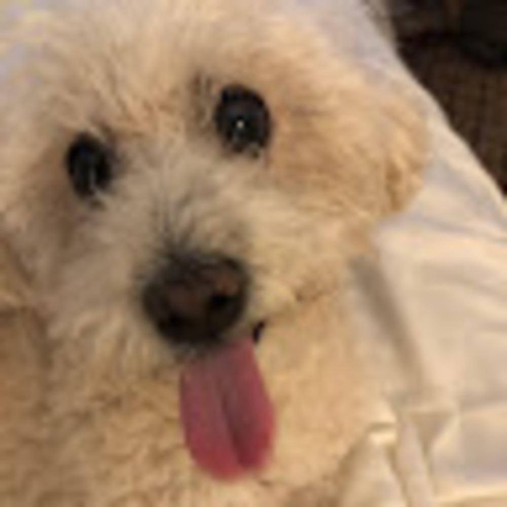 Meet your Posher, Margo